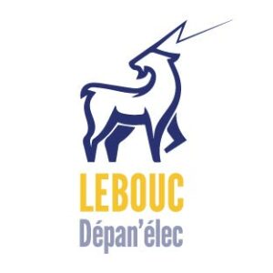 lebouc-depan'elec-dijon